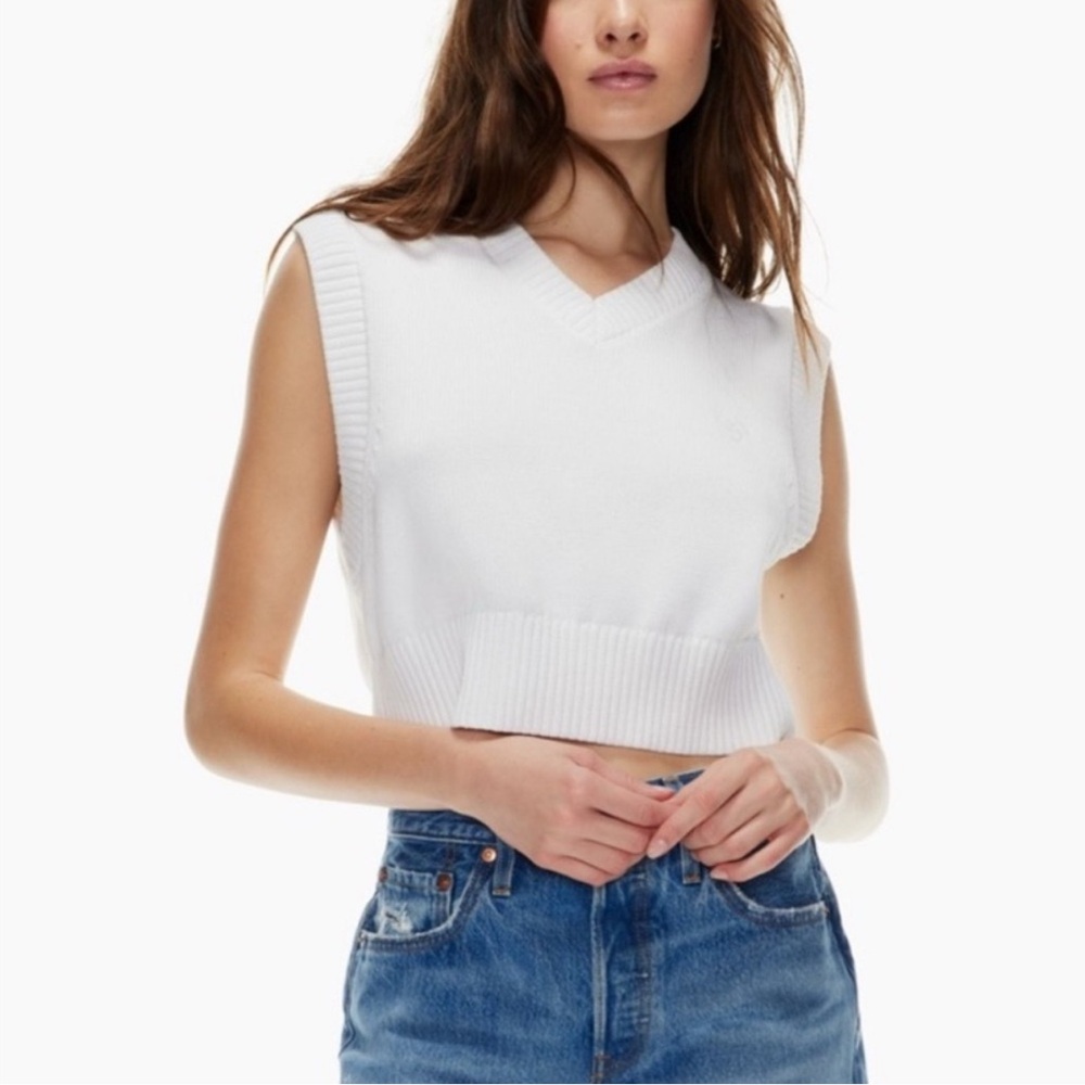 Aritzia Tna Marcy Cropped Sweater Vest Size XXS